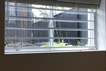 IMG_3456