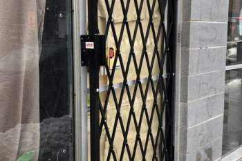 IMG_4241